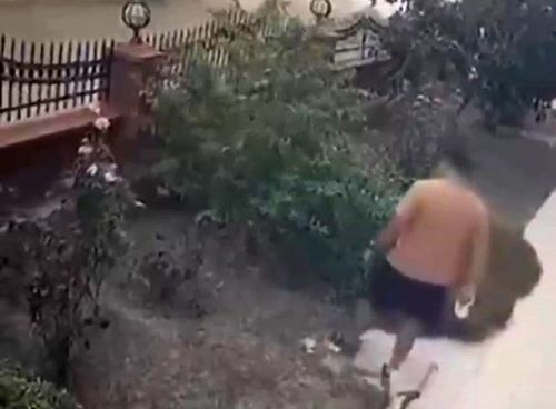 Bayraklı’da anne kediye tekme atan şüpheli yakalandı