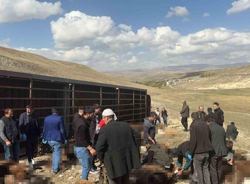 Hayvan taşıyan tır devrildi: 130 küçükbaş telef oldu