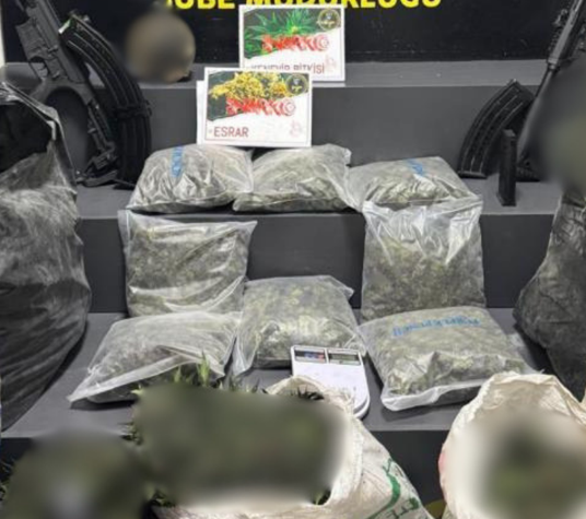 Menemen’de zehir tacirlerine operasyon: 2 tutuklama