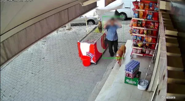 Karşıyaka'da başıboş bırakılan pitbull dehşet saçtı: Kadının parmağı koptu!
