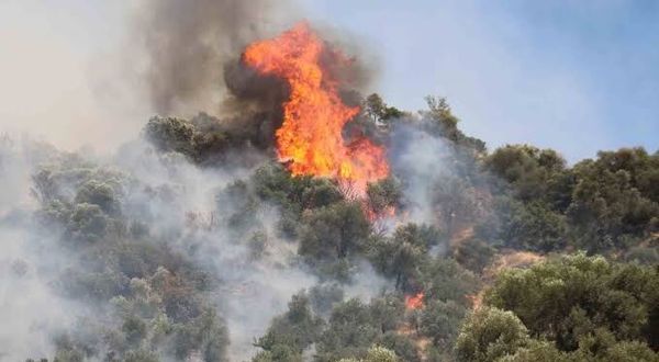Ege ve Akdeniz’de yangın alarmı: Karadan ve havadan müdahale sürüyor!