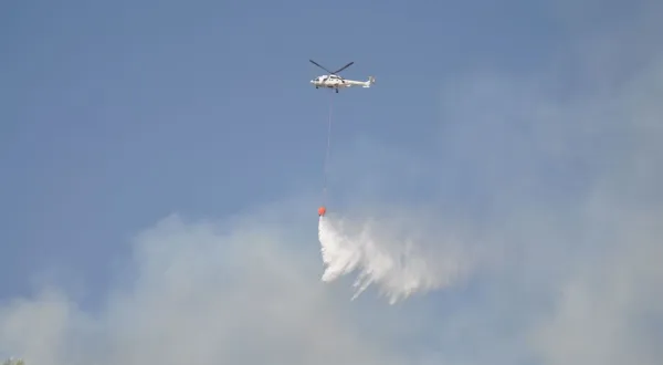 Bayındır'da zeytinlik ve otluk alanda çıkan yangın kontrol altına alındı