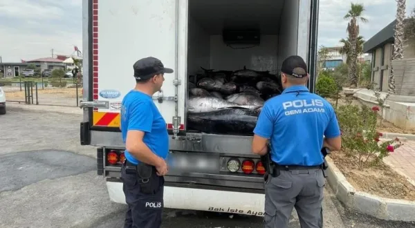 İzmir’de yarım milyonluk kaçak orkinos!