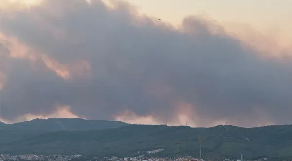 Muğla’da orman yangını rüzgarın etkisiyle büyüdü! Alevler Ula’ya sıçradı