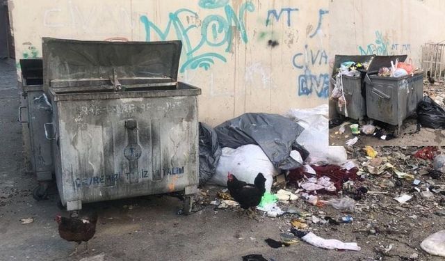 İzmir Karabağlar'da çöp sorunu | Temizlik çalışmaları yetersiz