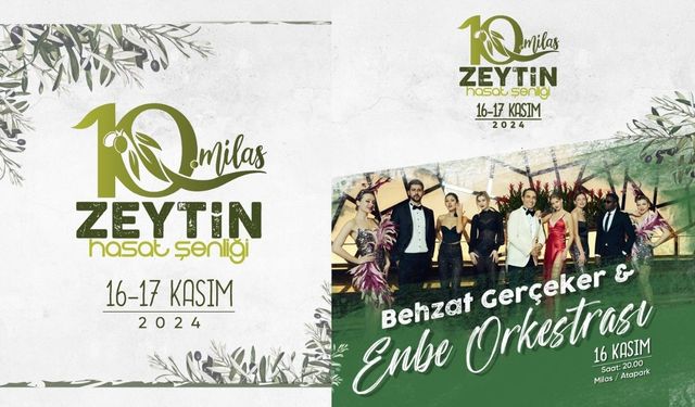 10'uncu Milas zeytin hasat şenliği başlıyor