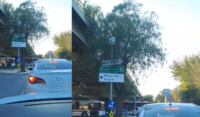 İzmir Bornova Küçükpark Kavşağı'nda trafiğe sebep olan trafik ışığı!