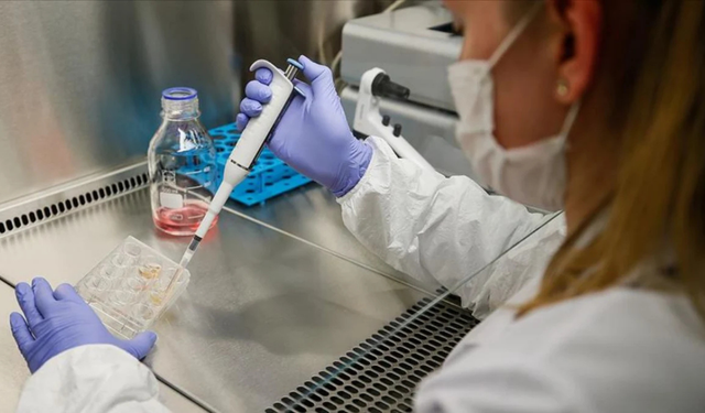 Danimarka DNA'sı diye pazarlandı, Türk DNA'sı çıktı