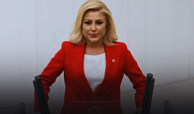 Şebnem Bursalı: İzmir engellenmiyor, ihmalin üzeri örtülüyor