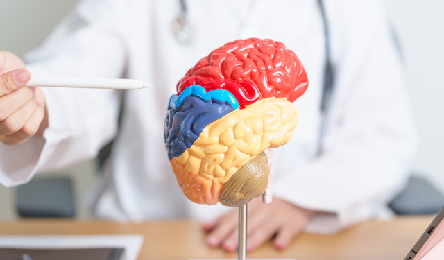 Bilim insanlarından kritik uyarı: Yaygın kullanılan tarım ilacı Parkinson riskini artırabilir