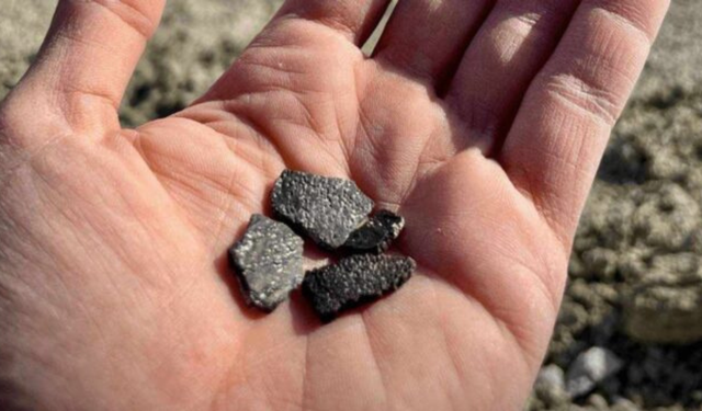ABD’de 100 milyon yıllık dinozor yumurtaları keşfedildi