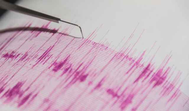Bingöl'de 4.8'lik deprem korkuttu