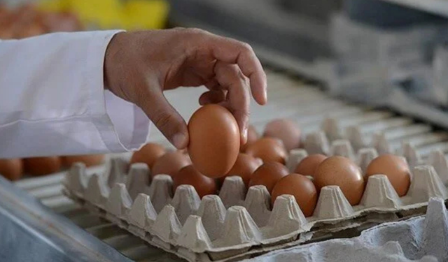 Yumurta fiyatları neden artışa geçti: ABD'nin etkisi ne?