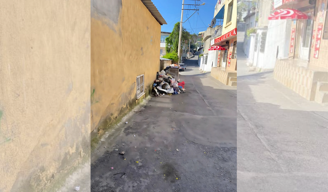 Konak'ta çöp sorunu: Mahalle böcek içerisinde kaldı
