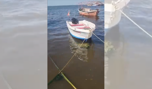 İzmir Körfezi şaşkınlık yarattı: İnciraltı'nda su kahverengi!