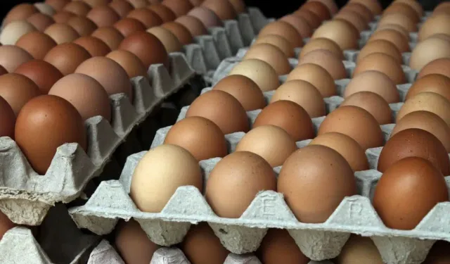 Her gün yumurta yemek sağlıklı mı?