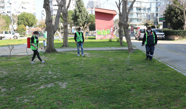 Bayraklı’da haşerelere geçit yok: İlaçlama çalışmaları hız kesmiyor
