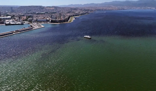 Tugay'dan İzmir Körfezi itirafı: Körfez kirli ve bir süre daha kirli kalacak