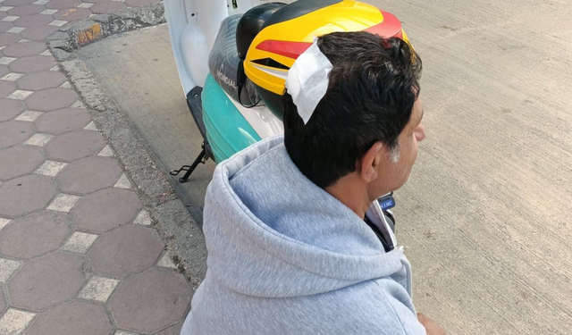 Yavru kargayı kurtarmak isterken başka bir karga hastanelik etti