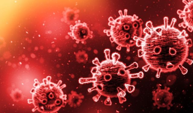 Uzmanı açıkladı: Nipah virüsü nedir, nasıl bulaşır?