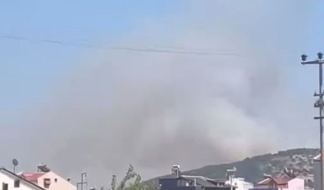 Dikili’de yangın alarmı!