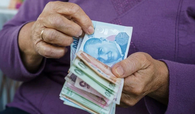 SGK uzmanından kritik uyarı: e-Devlet’te bazı harfler emekliliğinizi tehlikeye atabilir