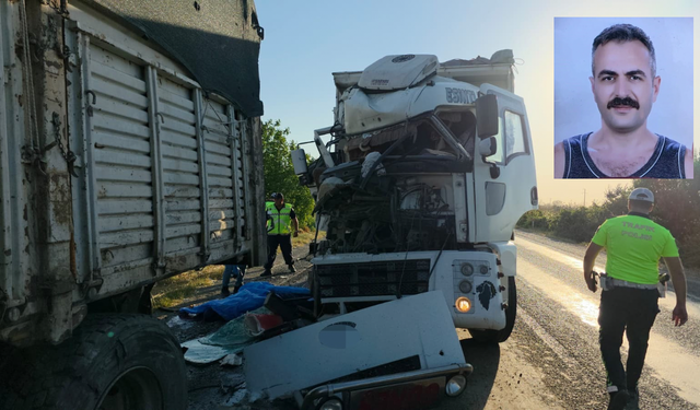 Yol kenarında ölüm: Arıza bakarken can verdi