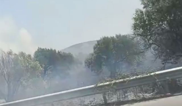 TIR yangını ormana sıçradı: Yol trafiğe kapatıldı!
