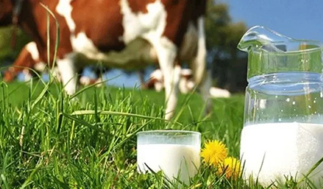 Çiğ süt fiyatına zam geldi: USK yeni tarifeyi açıkladı