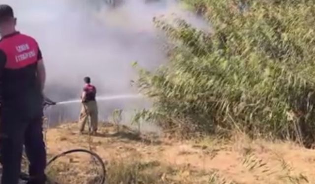 Menemen’de sazlık alanda çıkan yangına hızlı müdahale