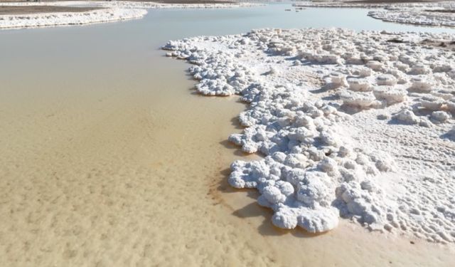 Tuz Gölü yok olma eşiğinde : 90 yılda yüzde 85 küçüldü