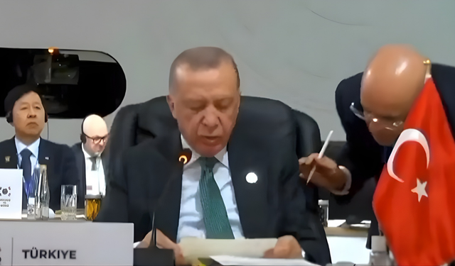 Mehmet Şimşek, Erdoğan'ı uyardı