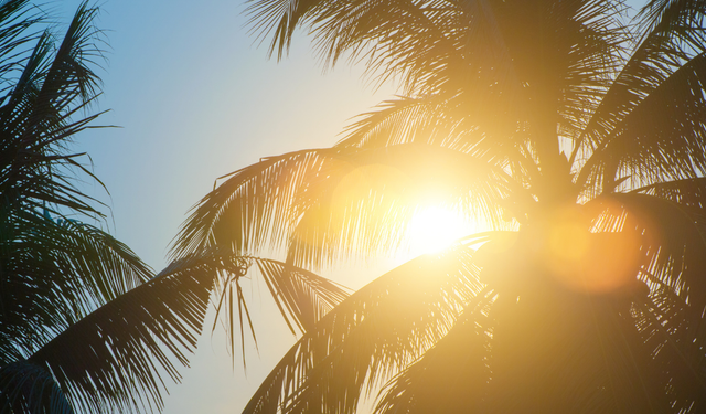 İzmir’de 17 Aralık hava durumu: İlçe ilçe detaylı hava durumu raporu