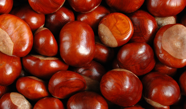 Vatandaşlar bu kış kestane alamıyor, kilosu 300 TL