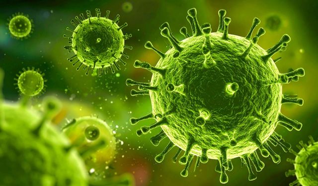 Mutasyona uğramış grip Türkiye için tehlike oluşturur mu?