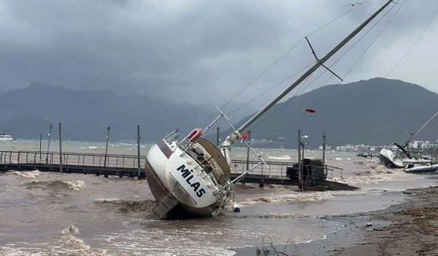 Fırtına etkili oldu: yelkenliler karaya vurdu, ağaçlar devrildi