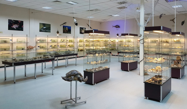 Nesli tehlike altındaki türler İzmir’de sergileniyor