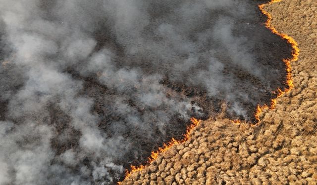 Nehil Sazlığı’ndaki yangın 4 gün sonra söndürüldü