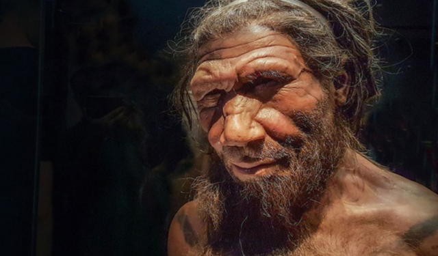 Neandertallerin burun yapısına dair popüler teori çöktü