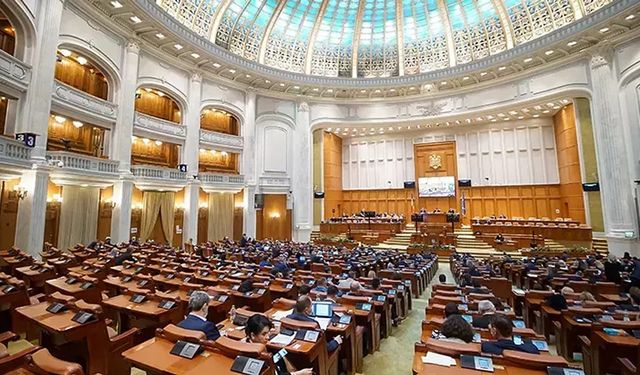 Romanya Savunma Bakanı’nın CV’si sahte çıktı