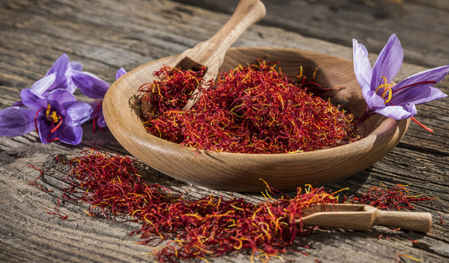 Çorum’da kıraç araziyi altına çeviren safran denemesi