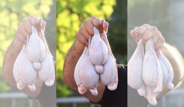 Uzmanlar uyardı; dışarıda köfte, döner, kokoreç, midye, tavuk ve sakatat yemeyin