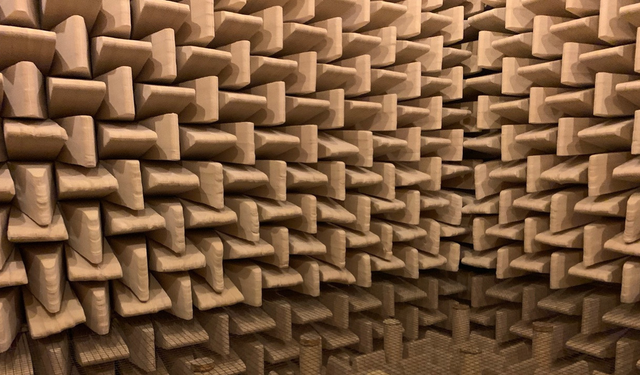 Sessizlikte sınır: Dünyanın en sessiz odasında kan akışı bile işitiliyor