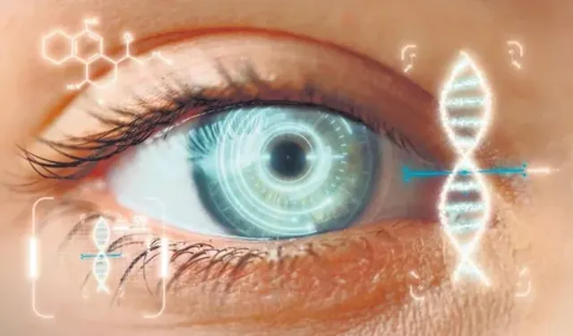 Göz dibi muayenesi hayat kurtarabilir