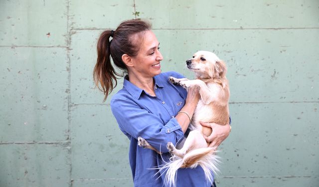 Karşıyaka Belediyesi’nden can dostlara şefkat eli: 1 yılda 40 bin hayvana destek