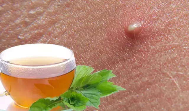 Kıvırcık nane: Kadınlar için doğal şifa kaynağı