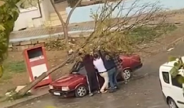 İzmir’de rüzgar dehşeti: Karabağlar’da ağaç otomobilin üzerine devrildi
