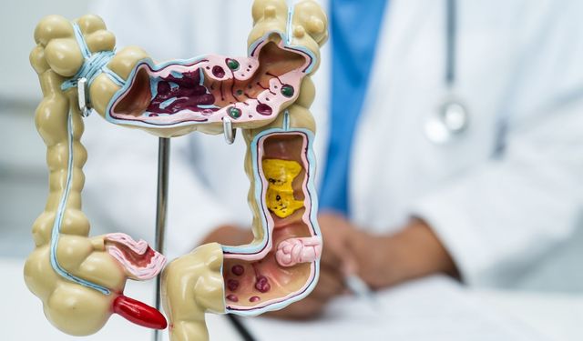 Bağırsak sağlığı uzun yaşamın anahtarı olabilir