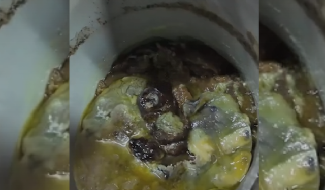 Bakkaldan mide bulandıran görüntüler