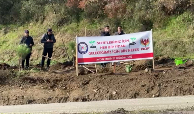 33 şehit için 333 fidan toprakla buluştu